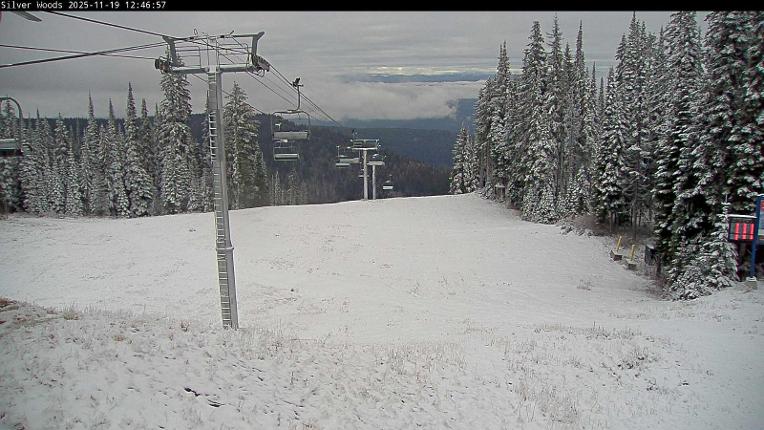 Webcam Silver Star: Top Of Silver Woods
