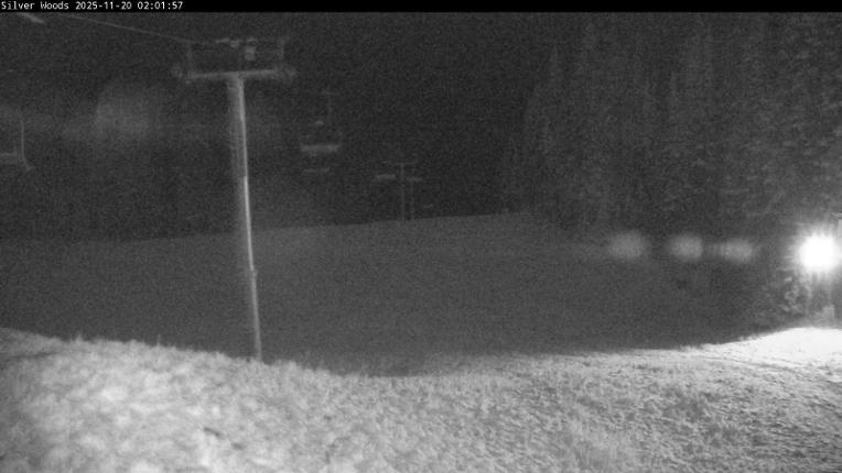 Webcam Silver Star: Top Of Silver Woods