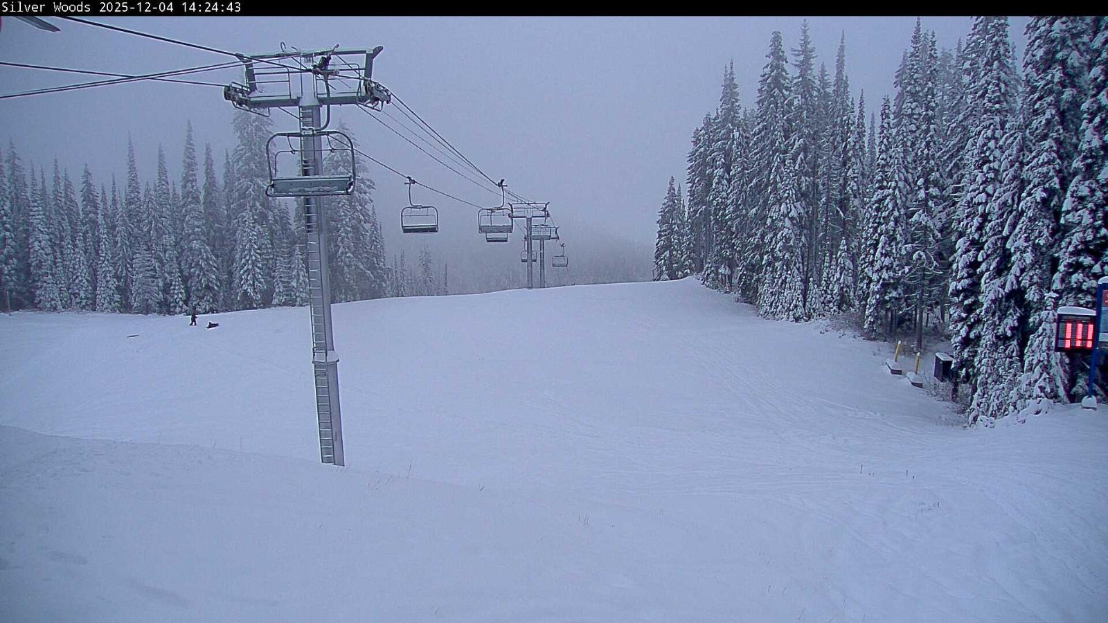 Webcam Silver Star: Top Of Silver Woods