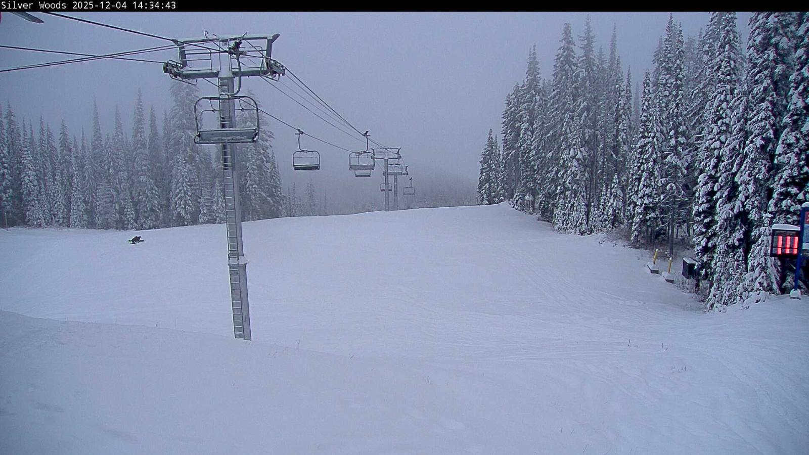 Webcam Silver Star: Top Of Silver Woods