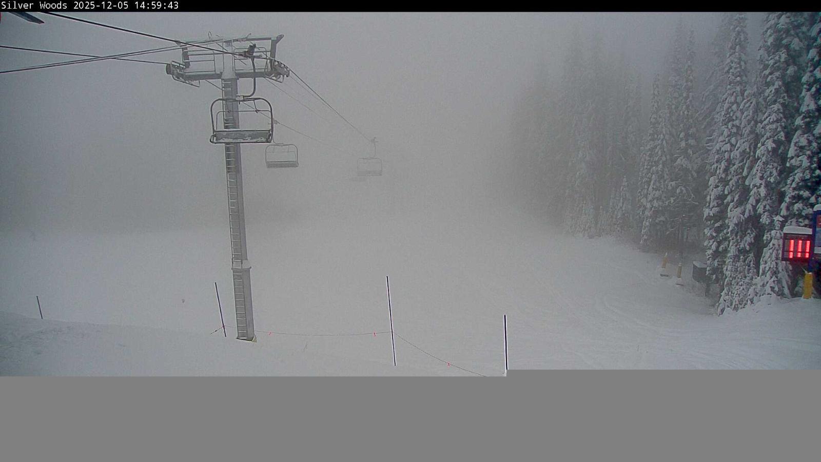 Webcam Silver Star: Top Of Silver Woods