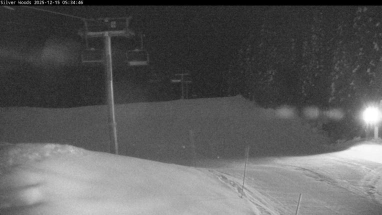 Webcam Silver Star: Top Of Silver Woods