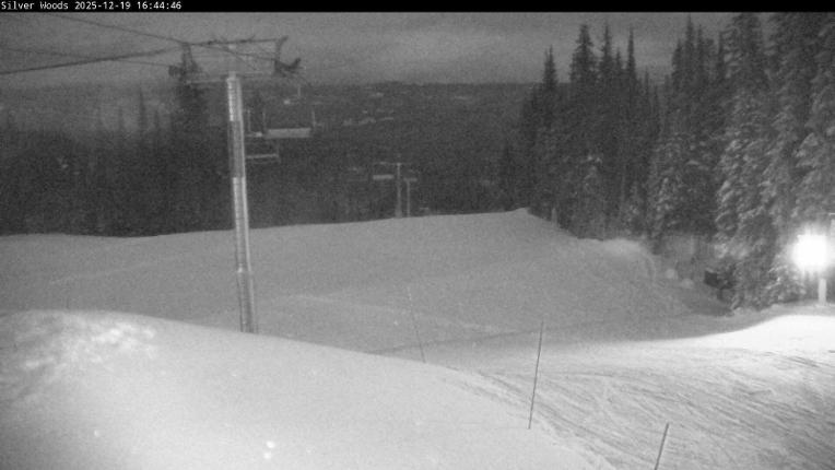 Webcam Silver Star: Top Of Silver Woods