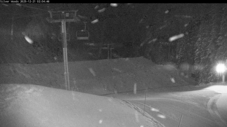 Webcam Silver Star: Top Of Silver Woods