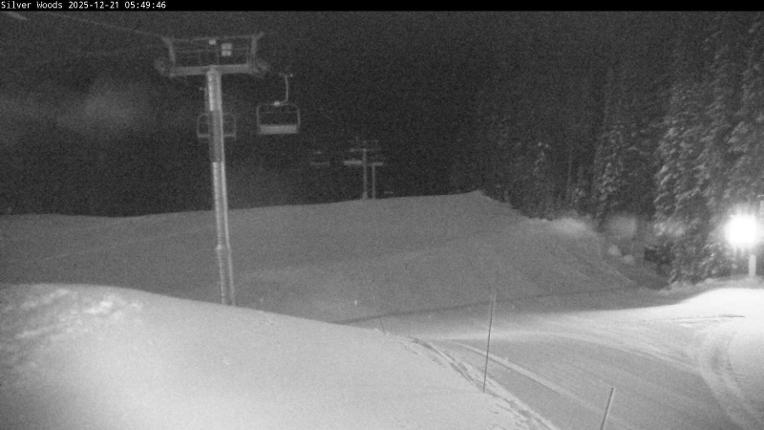 Webcam Silver Star: Top Of Silver Woods