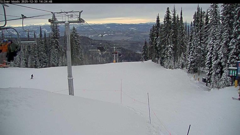 Webcam Silver Star: Top Of Silver Woods