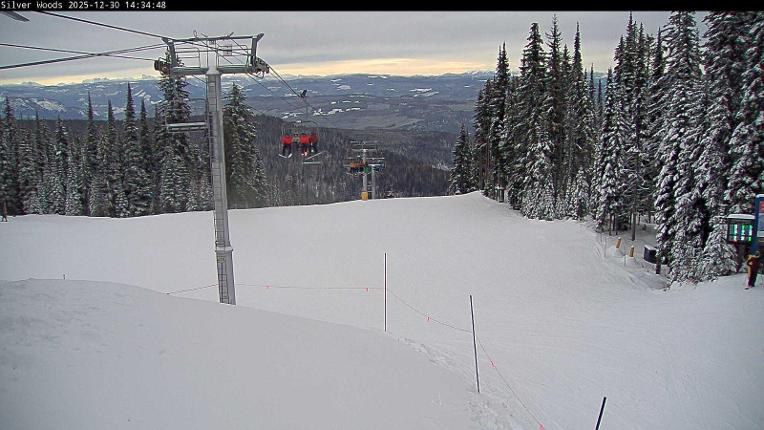 Webcam Silver Star: Top Of Silver Woods