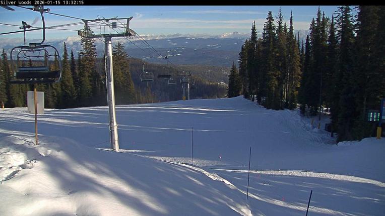 Webcam Silver Star: Top Of Silver Woods