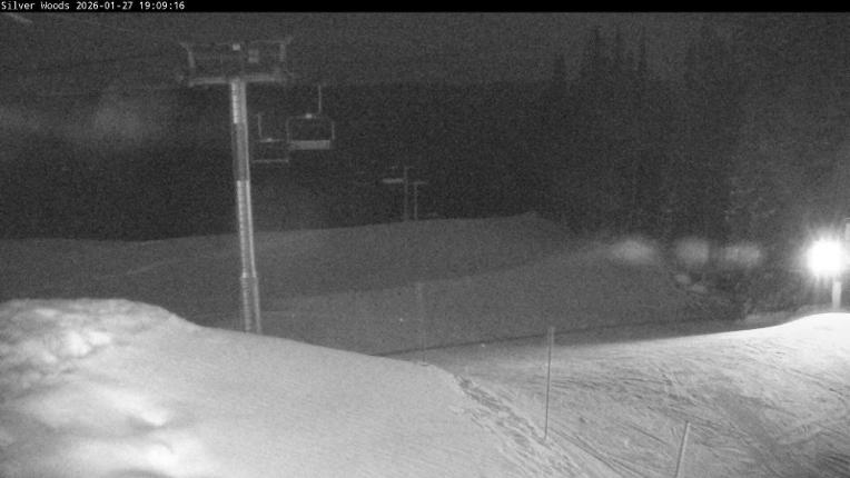 Webcam Silver Star: Top Of Silver Woods