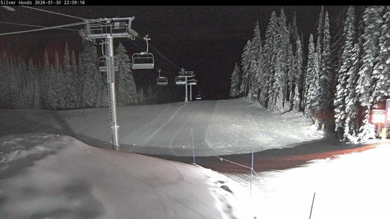 Webcam Silver Star: Top Of Silver Woods