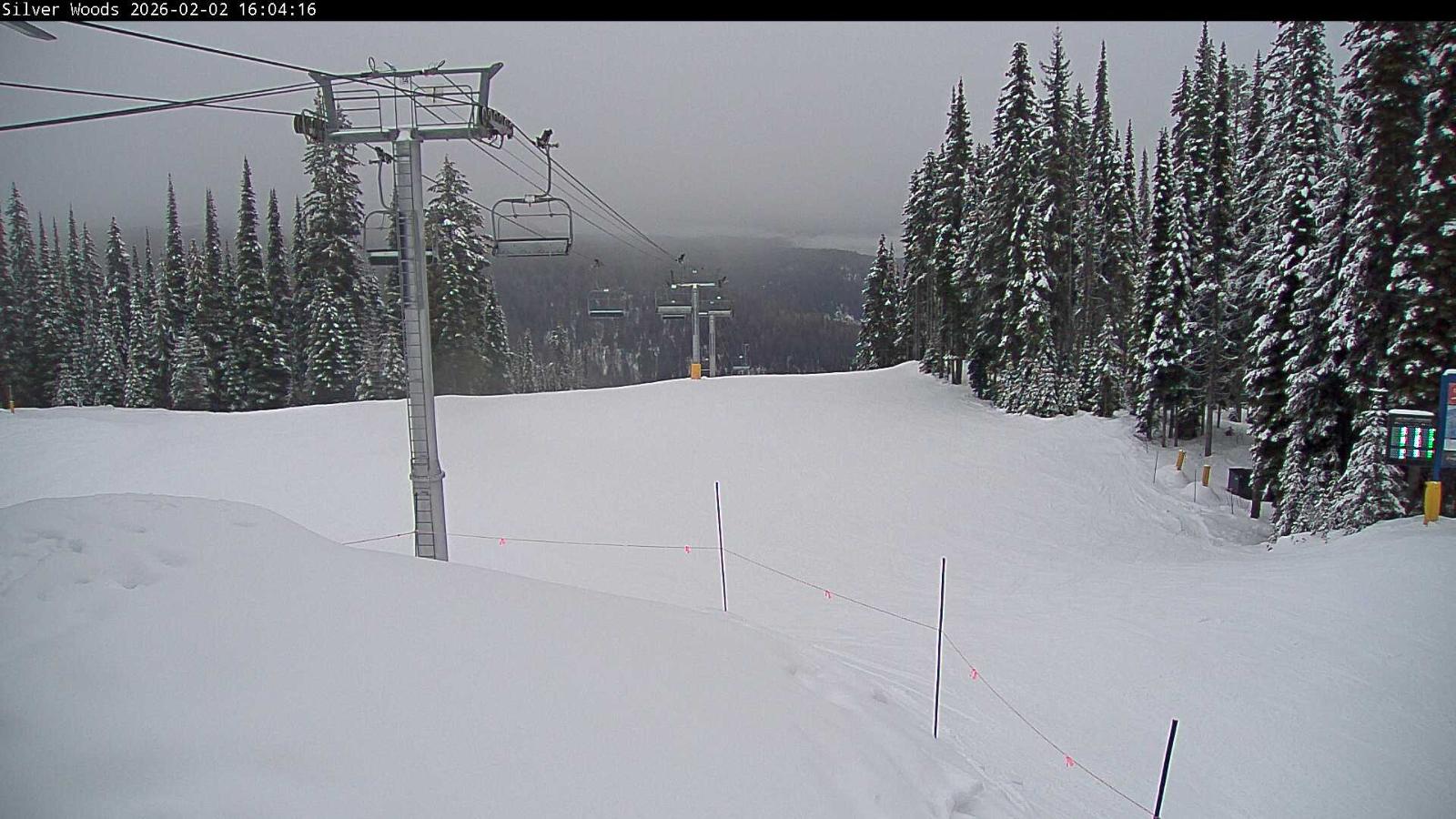 Webcam Silver Star: Top Of Silver Woods
