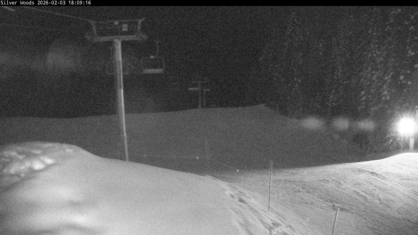 Webcam Silver Star: Top Of Silver Woods