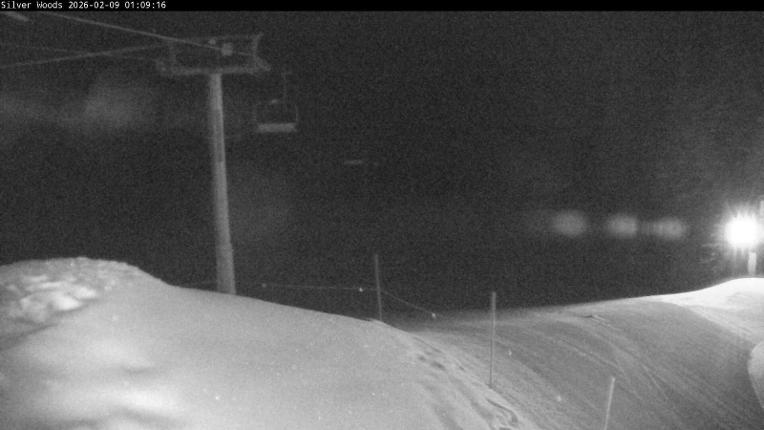 Webcam Silver Star: Top Of Silver Woods