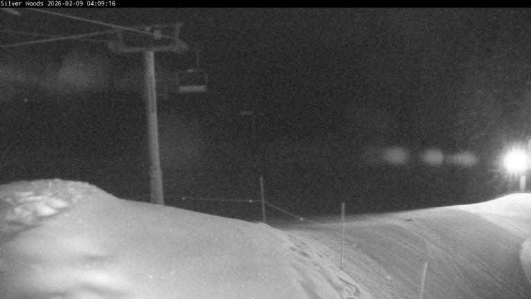 Webcam Silver Star: Top Of Silver Woods