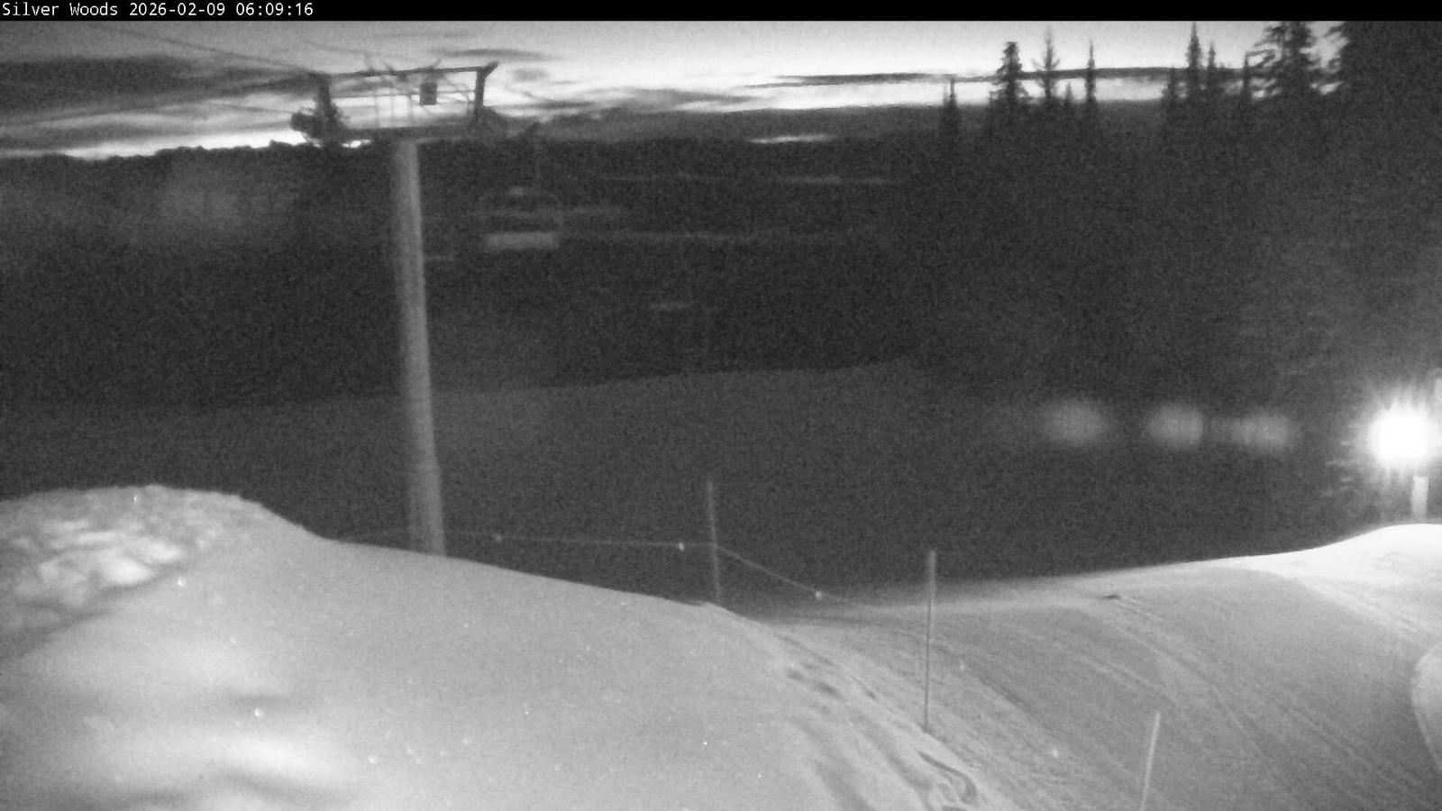 Webcam Silver Star: Top Of Silver Woods
