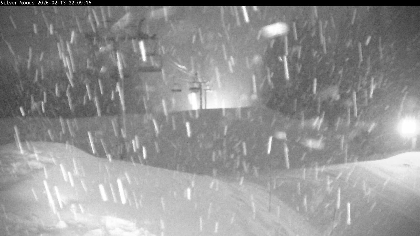 Webcam Silver Star: Top Of Silver Woods