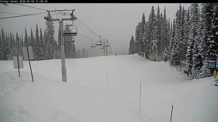 Webcam Silver Star: Top Of Silver Woods