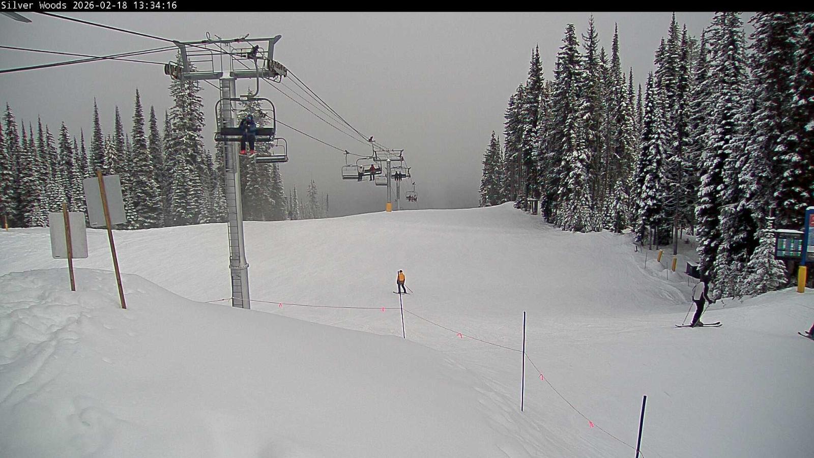 Webcam Silver Star: Top Of Silver Woods