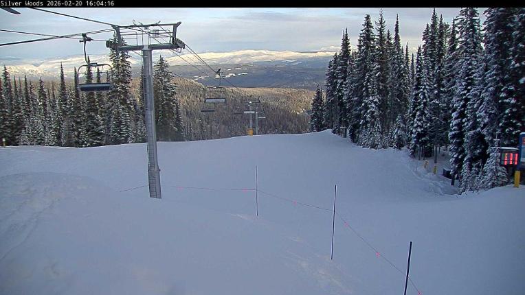 Webcam Silver Star: Top Of Silver Woods