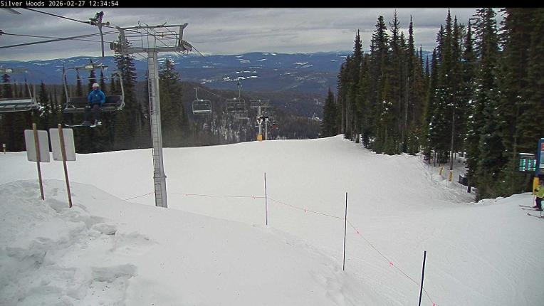 Webcam Silver Star: Top Of Silver Woods