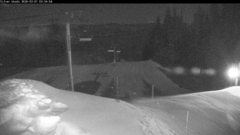 Webcam Silver Star: Top Of Silver Woods