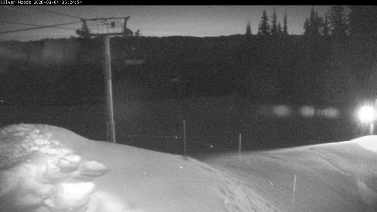 Webcam Silver Star: Top Of Silver Woods