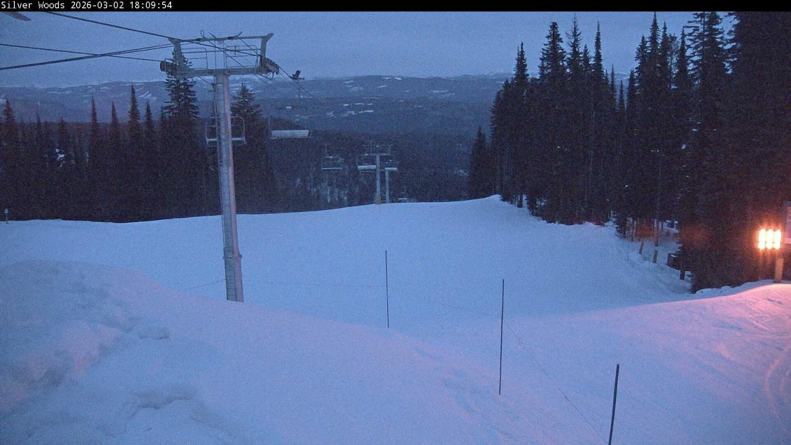 Webcam Silver Star: Top Of Silver Woods