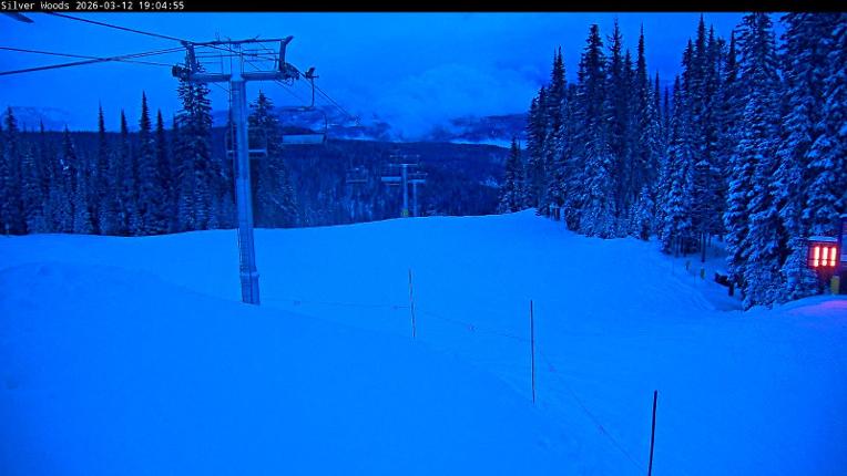 Webcam Silver Star: Top Of Silver Woods