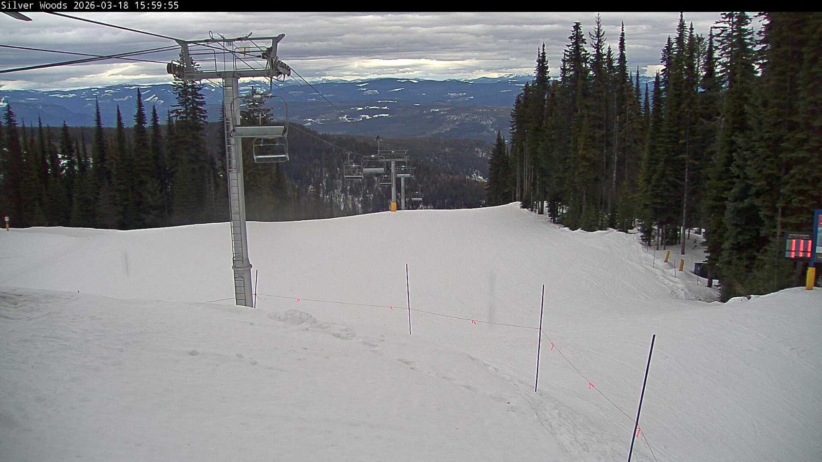 Webcam Silver Star: Top Of Silver Woods