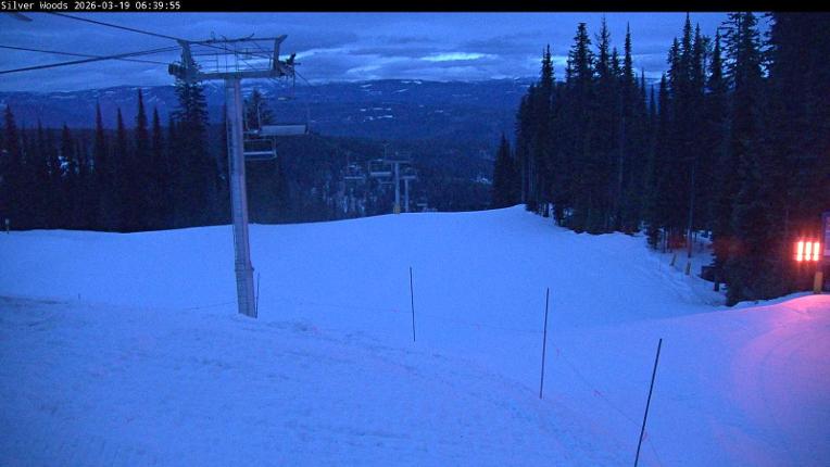Webcam Silver Star: Top Of Silver Woods