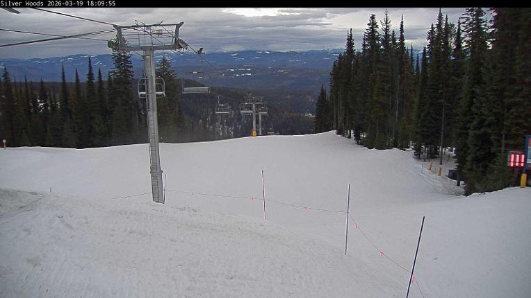 Webcam Silver Star: Top Of Silver Woods