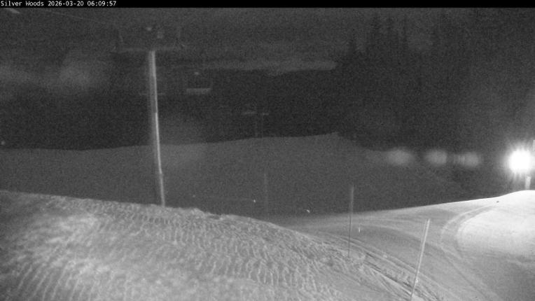 Webcam Silver Star: Top Of Silver Woods