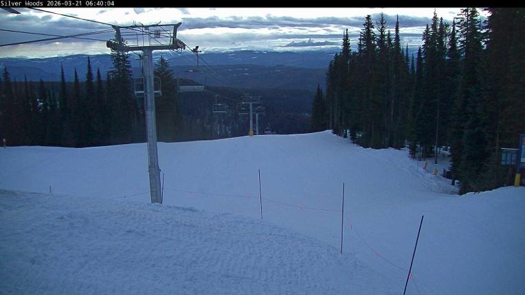 Webcam Silver Star: Top Of Silver Woods