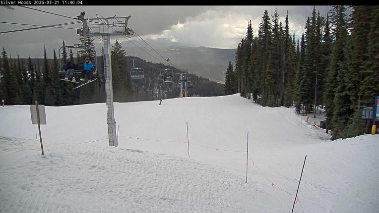 Webcam Silver Star: Top Of Silver Woods