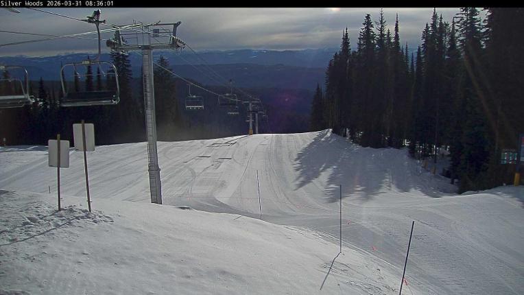 Webcam Silver Star: Top Of Silver Woods
