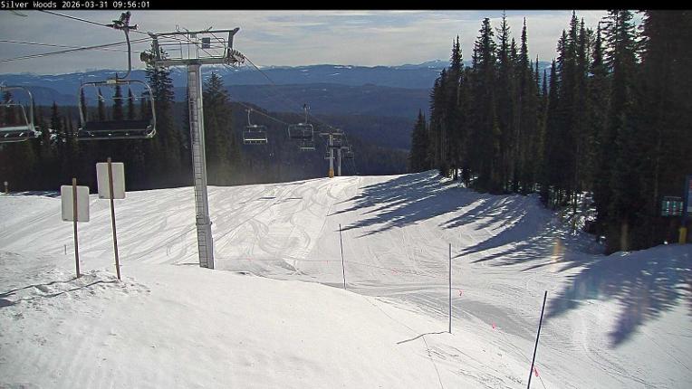 Webcam Silver Star: Top Of Silver Woods