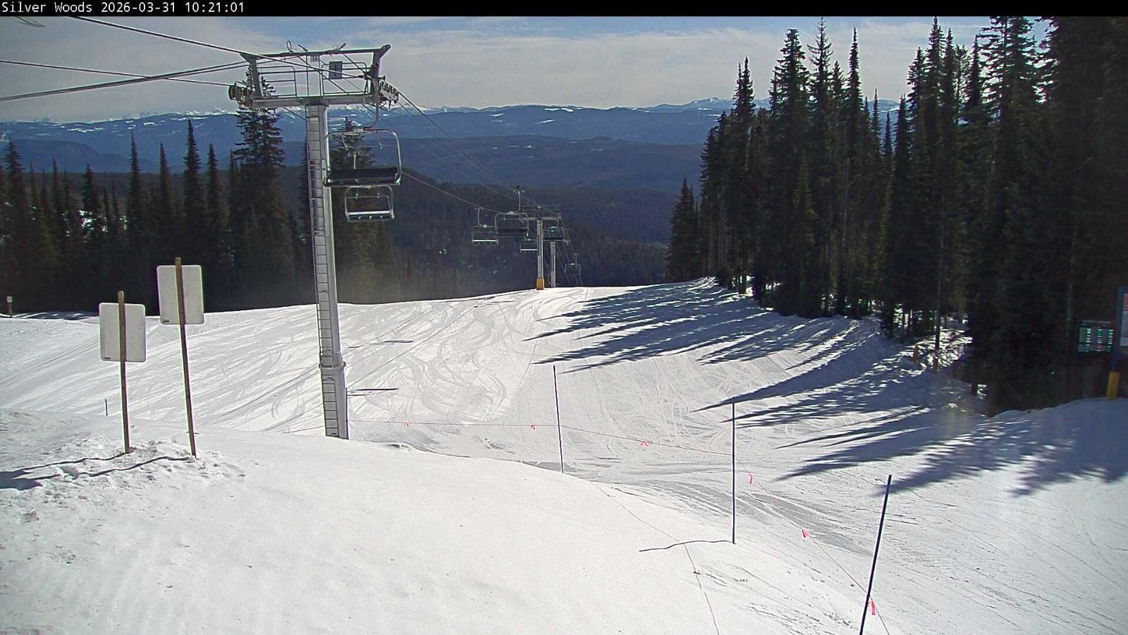 Webcam Silver Star: Top Of Silver Woods