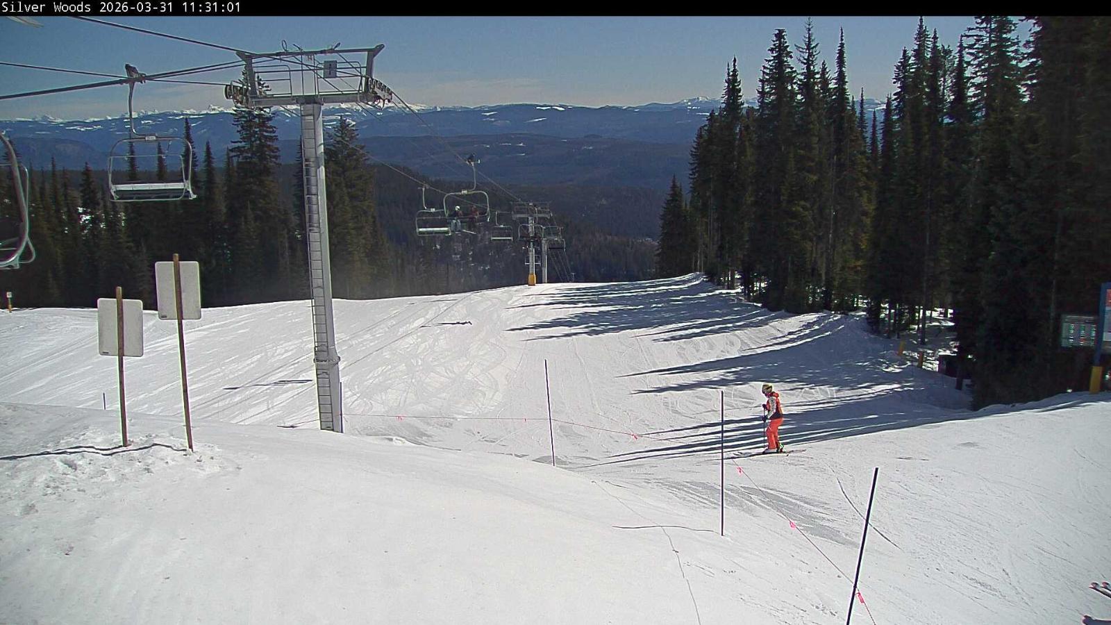 Webcam Silver Star: Top Of Silver Woods