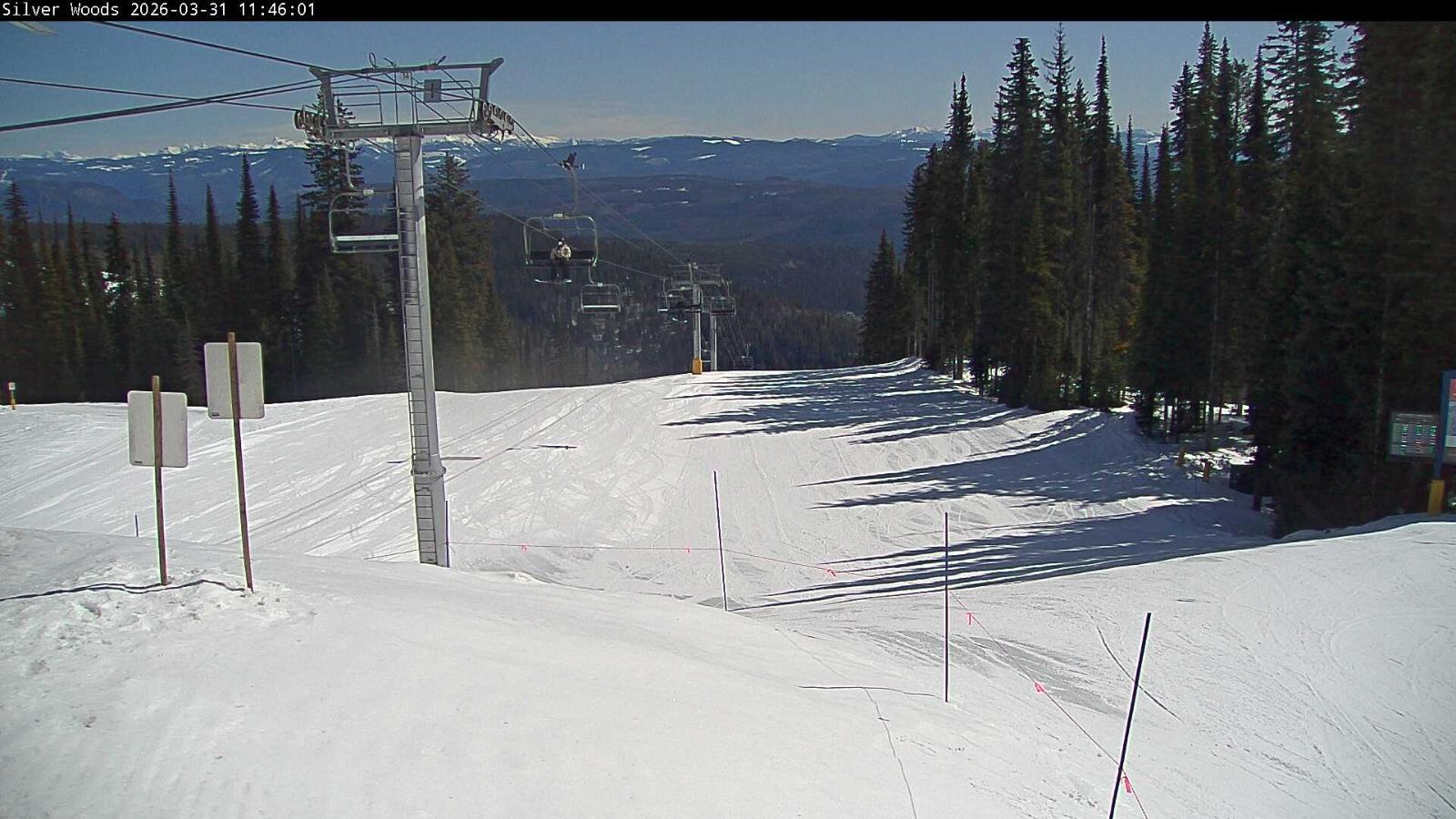 Webcam Silver Star: Top Of Silver Woods