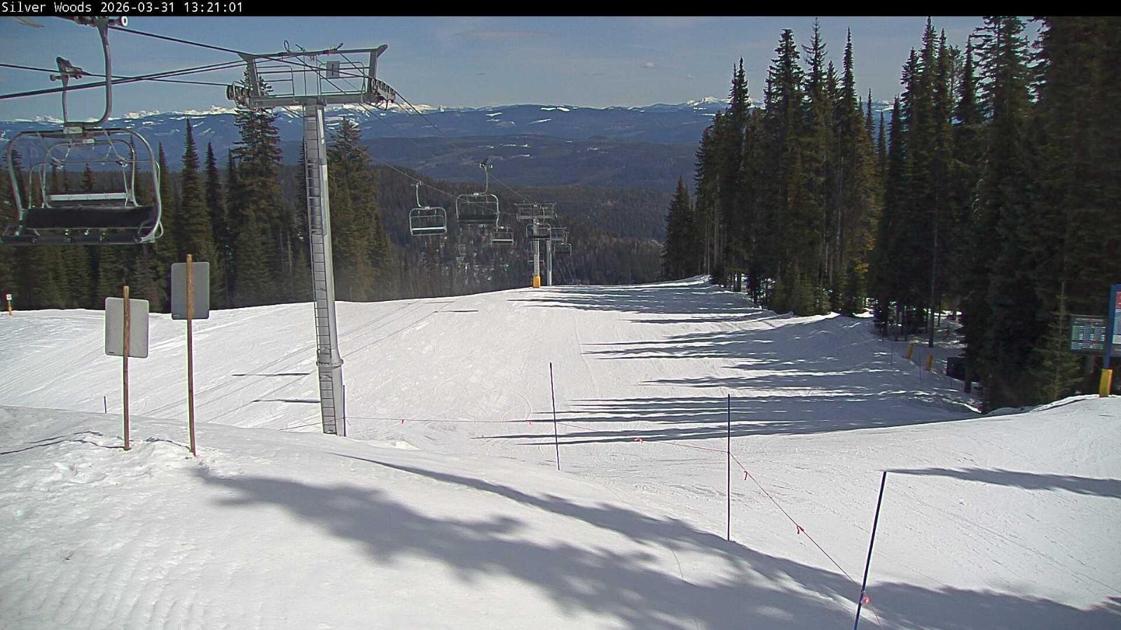 Webcam Silver Star: Top Of Silver Woods