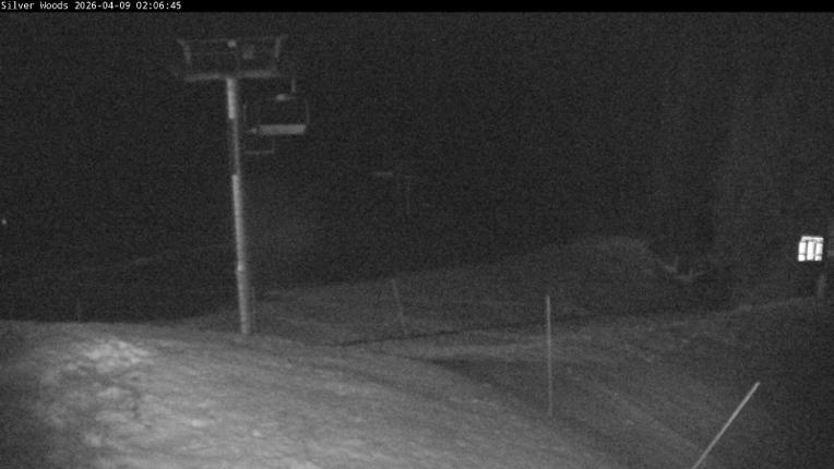 Webcam Silver Star: Top Of Silver Woods