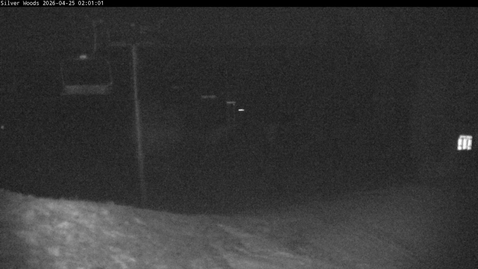 Webcam Silver Star: Top Of Silver Woods