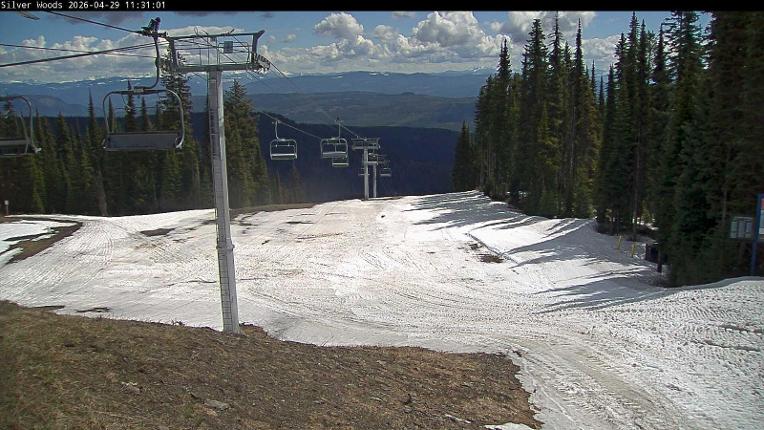 Webcam Silver Star: Top Of Silver Woods
