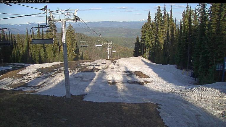Webcam Silver Star: Top Of Silver Woods