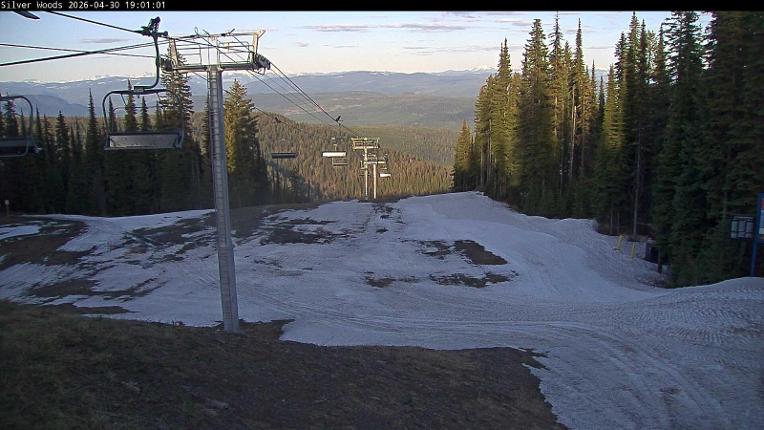 Webcam Silver Star: Top Of Silver Woods