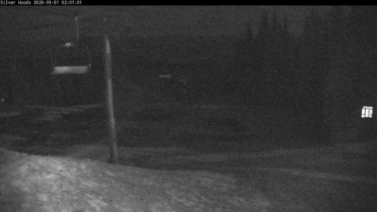 Webcam Silver Star: Top Of Silver Woods