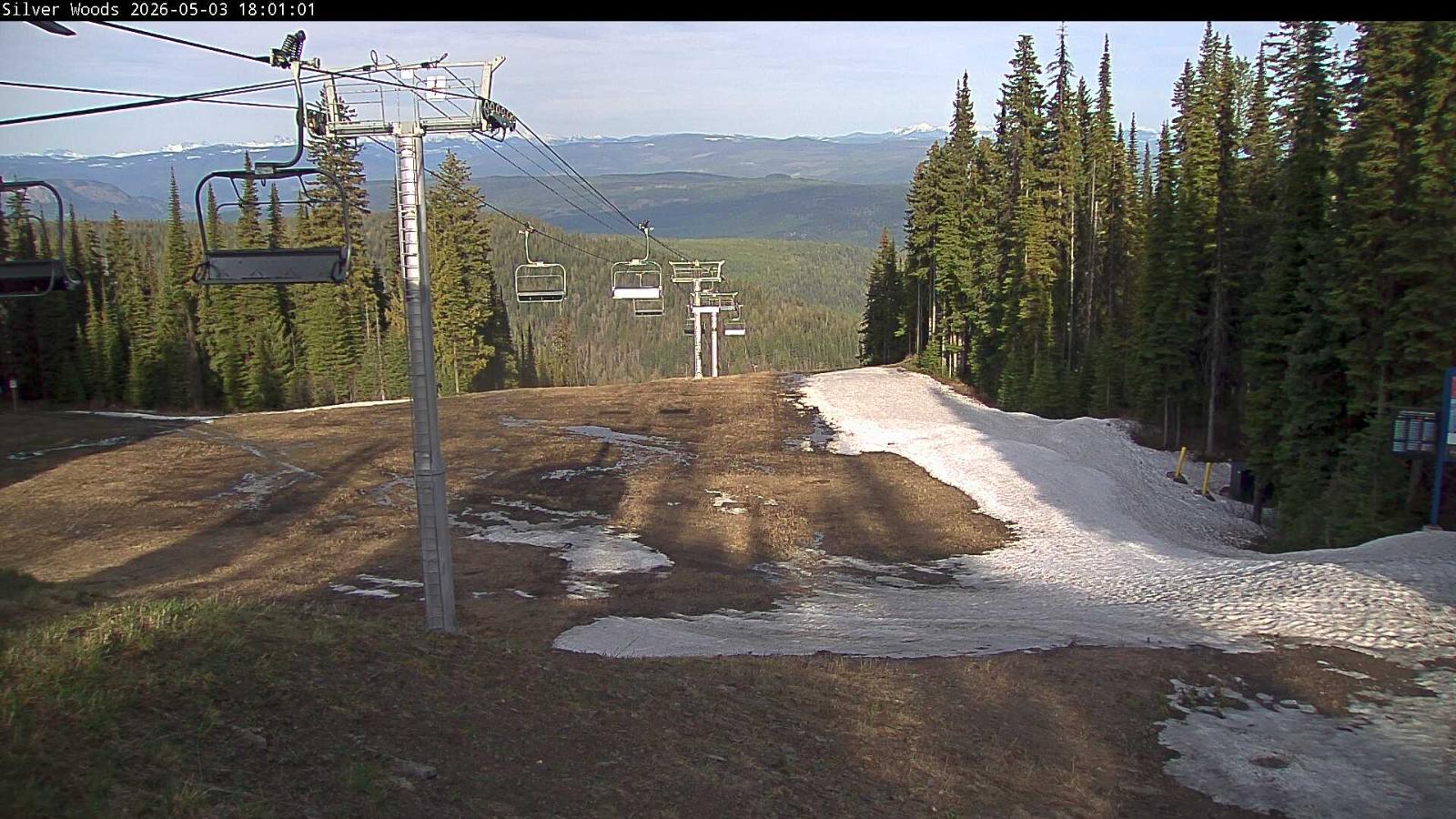 Webcam Silver Star: Top Of Silver Woods