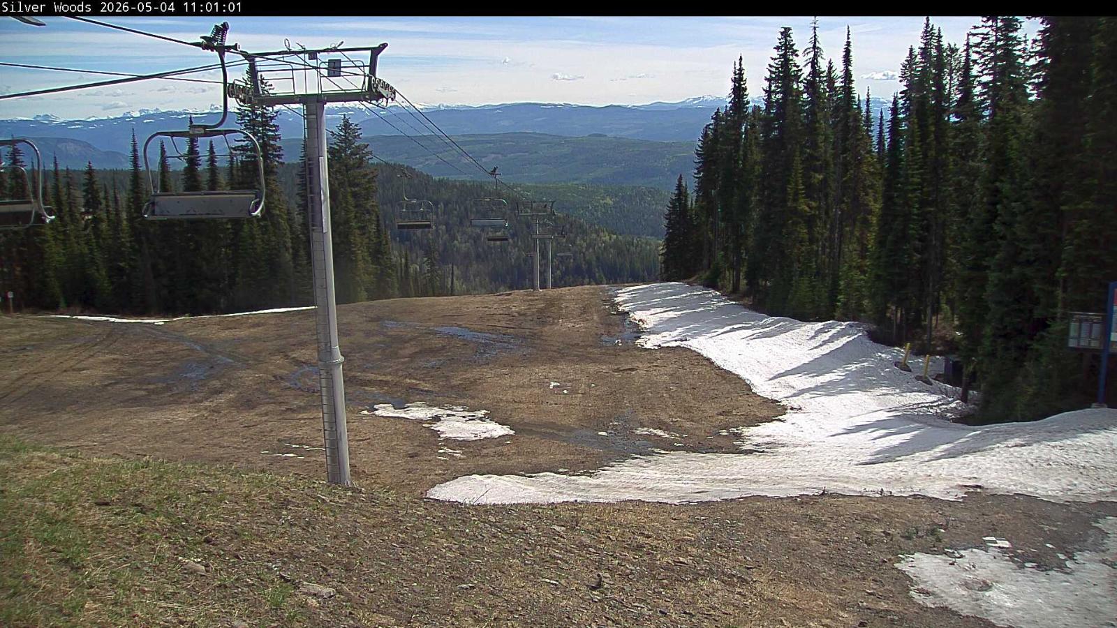 Webcam Silver Star: Top Of Silver Woods