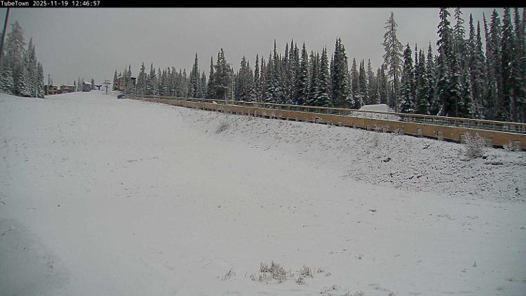 Webcam Silver Star: Tube Town