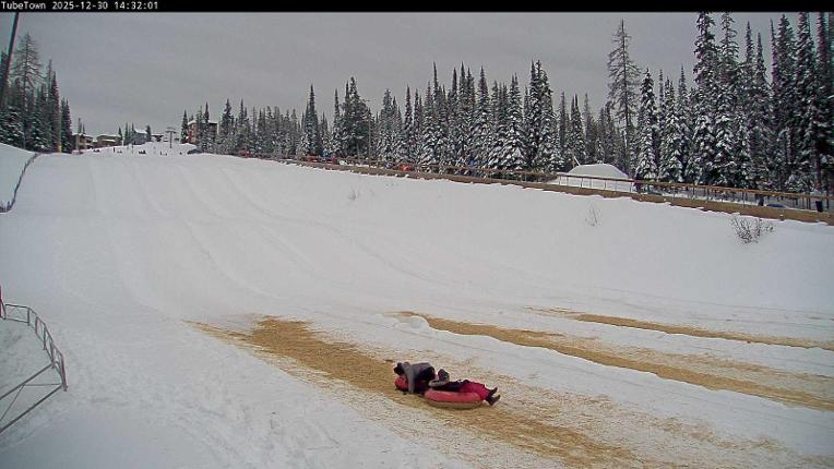 Webcam Silver Star: Tube Town